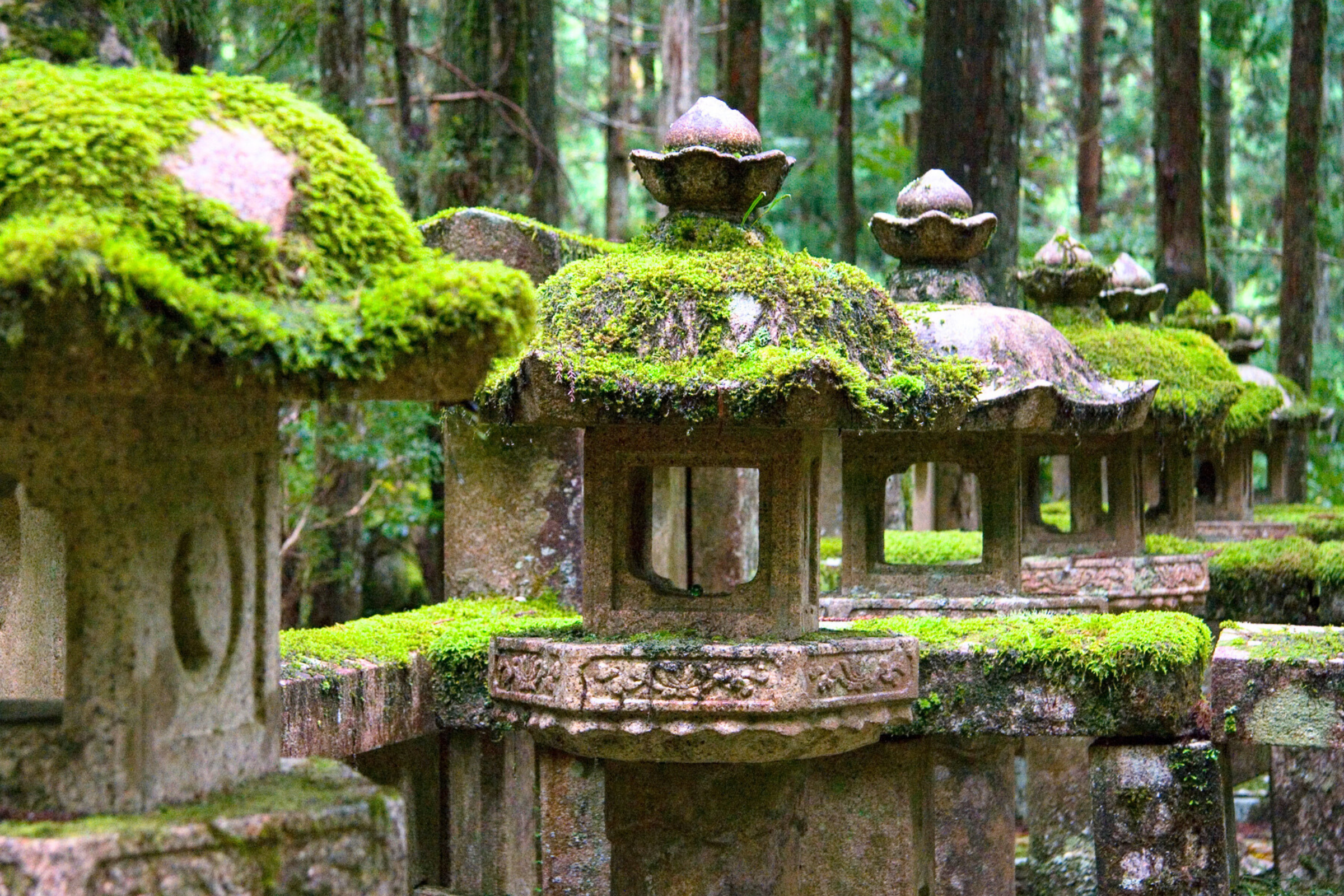 koyasan mountain (2).webp